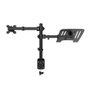 Coolbox Support pour écran jusqu'à 32 pouces et PC portable, double bras articulé, VESA 75/100, noir mat