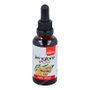 PLANTIS Extrait de Gingembre Eco 50ml