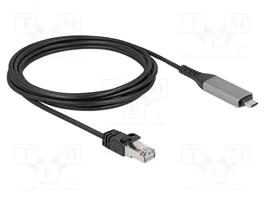 DELOCK Adaptateur Réseau USB-C vers RJ45 Cat 6 1Gbps 3m