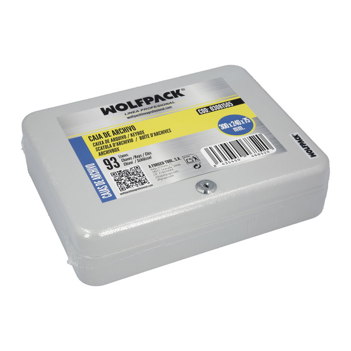 WOLFPACK LINEA PROFESIONAL Boîte d'archivage pour 93 clés, gris
