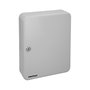WOLFPACK LINEA PROFESIONAL Boîte d'archivage pour 93 clés, gris