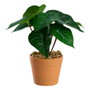Day Plante artificielle de 15 cm de hauteur