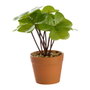 Day Plante artificielle de 15 cm de hauteur