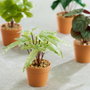 Day Plante artificielle de 15 cm de hauteur