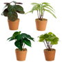Day Plante artificielle de 15 cm de hauteur