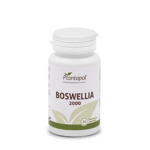 Boswellia 2000 Boswellia 2000