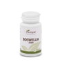 PLANTAPOL Boswellia 2000 60 comprimés