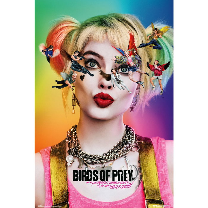 Grupo erik Poster Birds Of Prey Dazed And 61 x 91.5 cm Papier brillant 150gr Grupo erik Poster Birds Of Prey Dazed And 61 x 91.5 cm Papier brillant 150gr