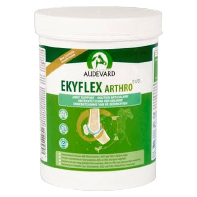 AUDEVARD VET Ekyflex Arthro Evo 450g AUDEVARD VET Ekyflex Arthro Evo 450g