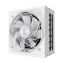 Gigabyte Aorus Elite P1000W Ice Alimentation PC ATX 3.1 Modulaire Blanc 80 PLUS Platinum 1000W