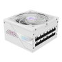 Gigabyte Aorus Elite P1000W Ice Alimentation PC ATX 3.1 Modulaire Blanc 80 PLUS Platinum 1000W