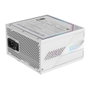 Gigabyte Aorus Elite P1000W Ice Alimentation PC ATX 3.1 Modulaire Blanc 80 PLUS Platinum 1000W