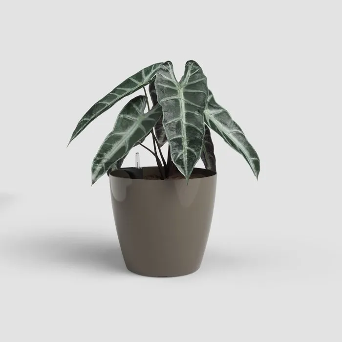 Artevasi - San Remo SWS 42 BR - Pot de fleurs avec pieds - Intérieur/Extérieur - Plastique résistant UV - Taupe - Ø42.7 x H39.5 cm - 42.3 L