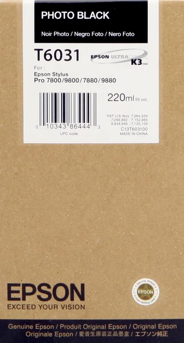 Epson Cartouche d'encre C13T603100 Noir photo 220ml