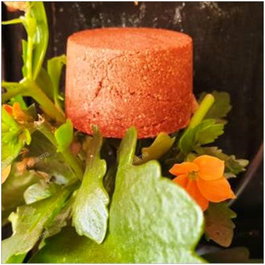 NITX Shampooing Solide pour Cheveux Roux et Orangés