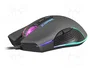 FURY SCRAPPER Souris Optique Noire