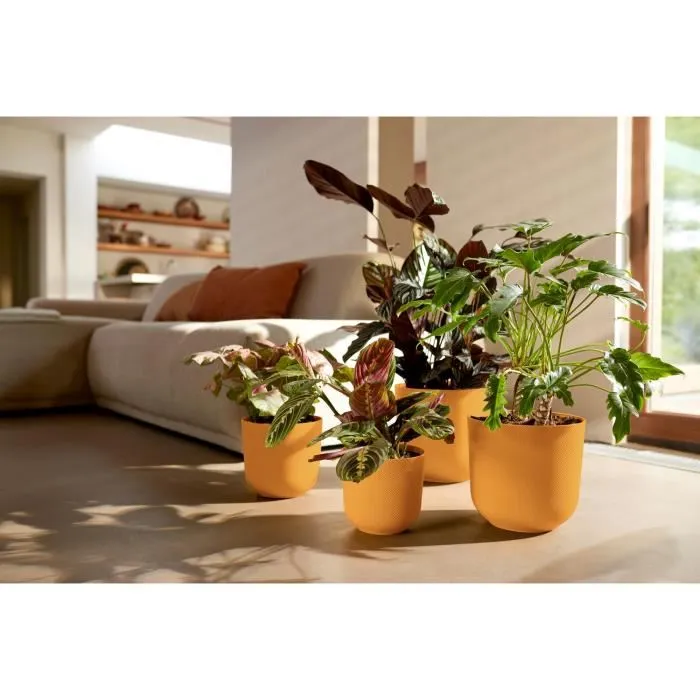 Elho Jazz Rond Pot de fleurs intérieur en plastique recyclé 100%, ø 34.5 x H 32 cm, Jaune, étanche, avec support pour insert auto-arrosant Elho Jazz Rond Pot de fleurs intérieur en plastique recyclé 100%, ø 34.5 x H 32 cm, Jaune, étanche, avec support pour insert auto-arrosant