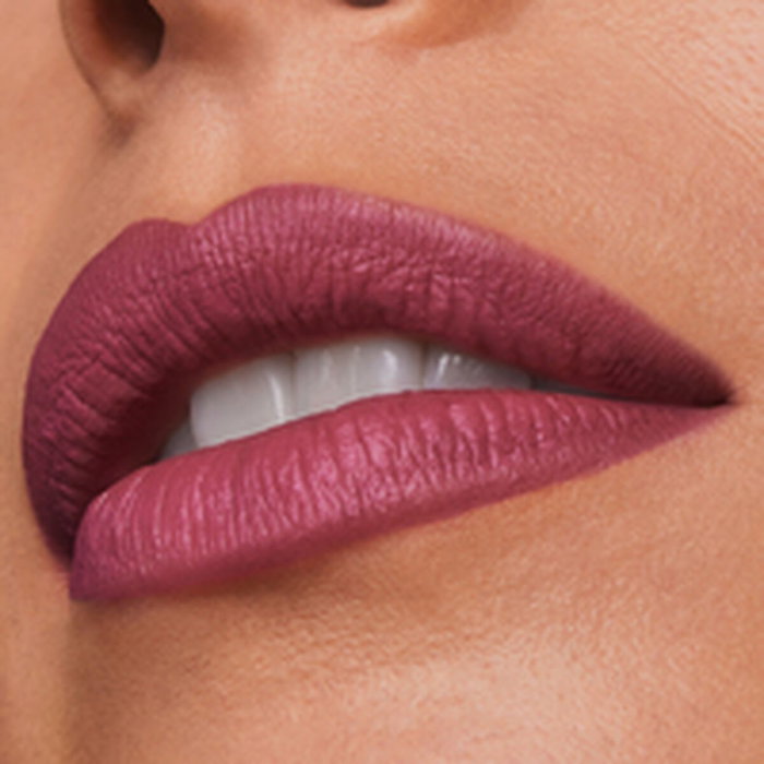 Estée Lauder Rouge à lèvres mat PURE COLOR maryland