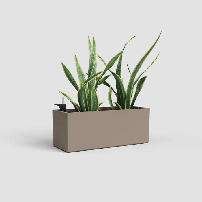 Artevasi Jardinière Rimini SWS 51 MA - Intérieur/Extérieur - Plastique Résistant aux UV - 51 x 20 x H20 cm - 17 L - Couleur Taupe Artevasi Jardinière Rimini SWS 51 MA - Intérieur/Extérieur - Plastique Résistant aux UV - 51 x 20 x H20 cm - 17 L - Couleur Taupe