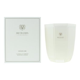 Dr. Vranjes Firenze Bougie Parfumée Ginger Lime 1000 g