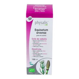 PHYSALIS Extrait de Prêle (Equisetum) BIO 100ml