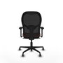 Piqueras y Crespo Chaise de Bureau Jorquera 3D036G0 Marron Noir