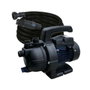 Spido Pompe d'arrosage JC-800-P avec kit d'aspiration 5 m