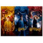 SD TOYS Puzzle Harry Potter 1000 Pièces - Ron, Harry et Hermione - 70 x 50 cm