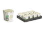 Acorde Porte-bougie Tealight Jasmin 6 Heures Vert Verre 7x7x7 cm (Set de 12)