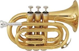 SML Trompette Pocket TP50 SML - Si bémol, Pavillon 96 mm avec Étui et Embouchure
