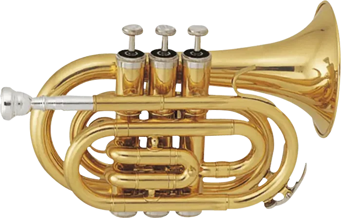 SML Trompette Pocket TP50 SML - Si bémol, Pavillon 96 mm avec Étui et Embouchure SML Trompette Pocket TP50 SML - Si bémol, Pavillon 96 mm avec Étui et Embouchure