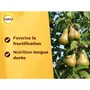 SOLABIOL Engrais pour arbres fruitiers - 1,5 kg - Jusqu'à 180 plants - Stimulateur de croissance et nutrition longue durée - UAB SOFRUY15