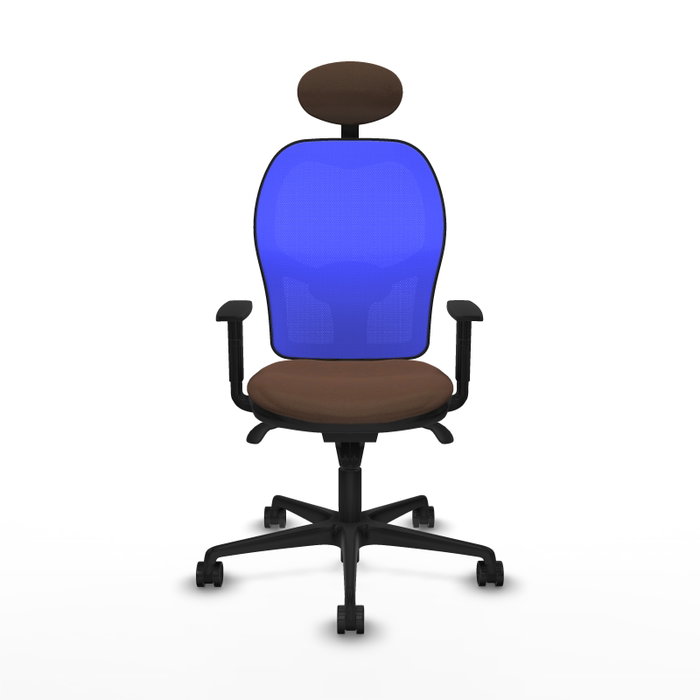 Piqueras y Crespo Chaise de Bureau Jorquera 1D036N1 Bleu et Brun foncé Piqueras y Crespo Chaise de Bureau Jorquera 1D036N1 Bleu et Brun foncé