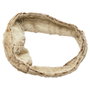 Sensly Ceinture Lombaire Micro-ondes pour Abdomen et Zone Lombaire