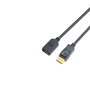 MicroConnect Câble d'extension DisplayPort 3m