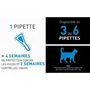 Frontline Spot On pour Chat - 6 pipettes anti-puces et anti-tiques (fipronil) - Prévention DAPP dès 1 kg et 8 semaines