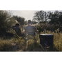 Coleman Convoy 65qt Glacière portable noire avec roulettes