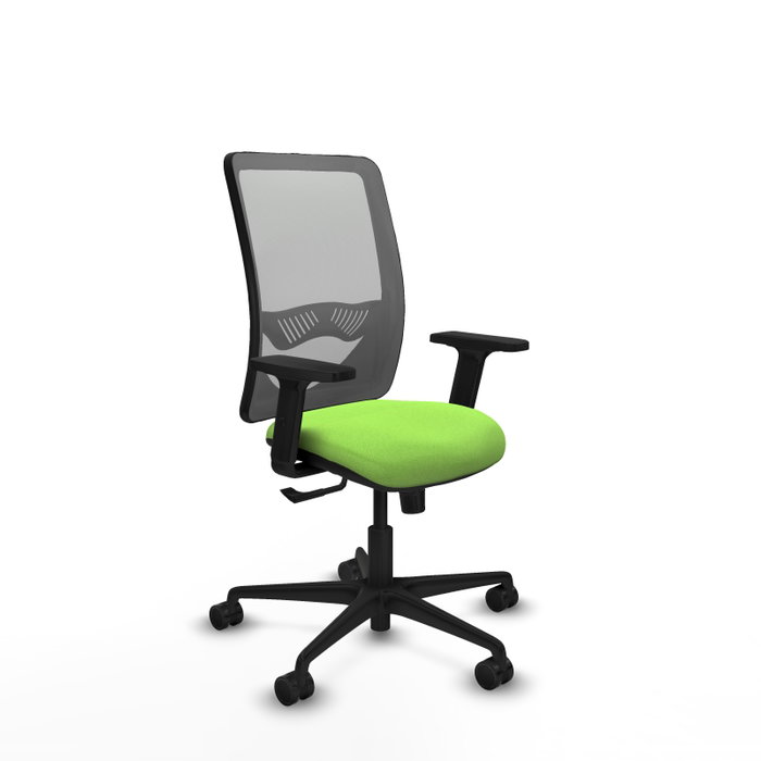 PIQUERAS Y CRESPO Chaise Zulema Synchro Vert pistache et Gris avec accoudoirs 2D PIQUERAS Y CRESPO Chaise Zulema Synchro Vert pistache et Gris avec accoudoirs 2D