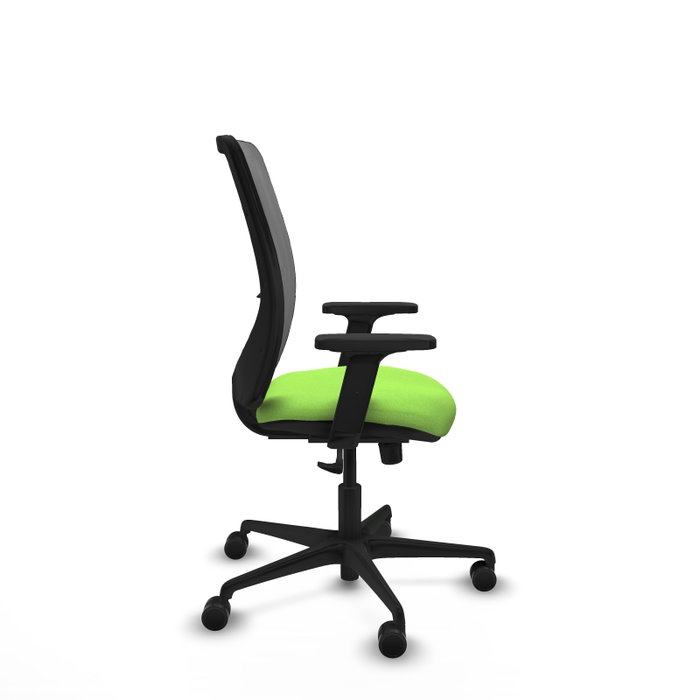 PIQUERAS Y CRESPO Chaise Zulema Synchro Vert pistache et Gris avec accoudoirs 2D PIQUERAS Y CRESPO Chaise Zulema Synchro Vert pistache et Gris avec accoudoirs 2D