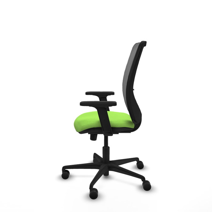 PIQUERAS Y CRESPO Chaise Zulema Synchro Vert pistache et Gris avec accoudoirs 2D PIQUERAS Y CRESPO Chaise Zulema Synchro Vert pistache et Gris avec accoudoirs 2D