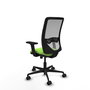 PIQUERAS Y CRESPO Chaise Zulema Synchro Vert pistache et Gris avec accoudoirs 2D