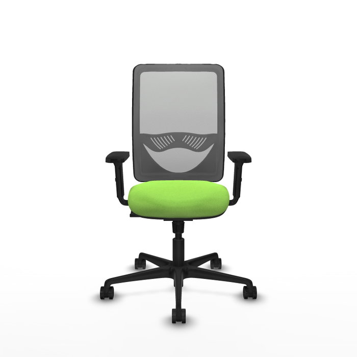 PIQUERAS Y CRESPO Chaise Zulema Synchro Vert pistache et Gris avec accoudoirs 2D PIQUERAS Y CRESPO Chaise Zulema Synchro Vert pistache et Gris avec accoudoirs 2D