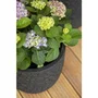 CAPI EUROPE Pot boule Clay NL Noir 43 x 41 cm