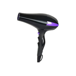 Perfect Beauty IONIC R-3900 Secador Iónico Profesional