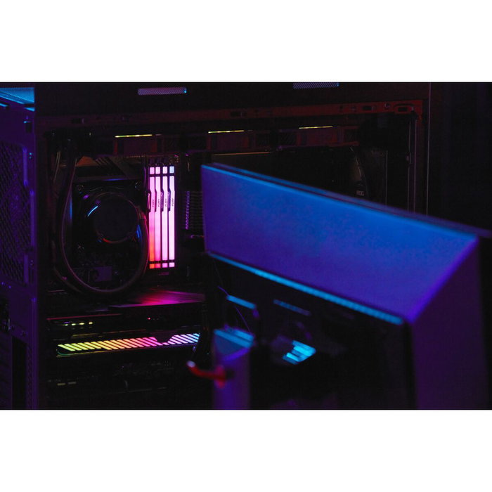 Kingston Fury Beast KF556C40BBA-16GB DDR5 5600 RGB