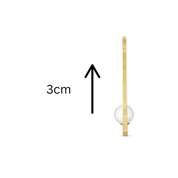 Boucles d´oreilles Femme Tommy Hilfiger 2780964 3 cm Boucles d´oreilles Femme Tommy Hilfiger 2780964 3 cm