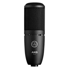 AKG P120 Microphone Condensateur à Grande Membrane avec Pattern Polaire Cardioïde Noir