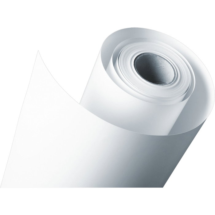Epson Premium Semigloss Papier Photo en Rouleau 40,6 cm x 30,5 m 255 g Epson Premium Semigloss Papier Photo en Rouleau 40,6 cm x 30,5 m 255 g