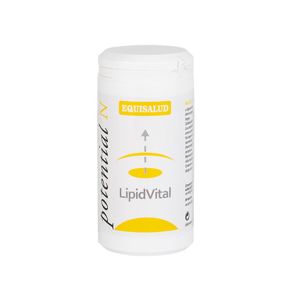 EQUISALUD LIPIDVITAL 60 capsules EQUISALUD LIPIDVITAL 60 capsules