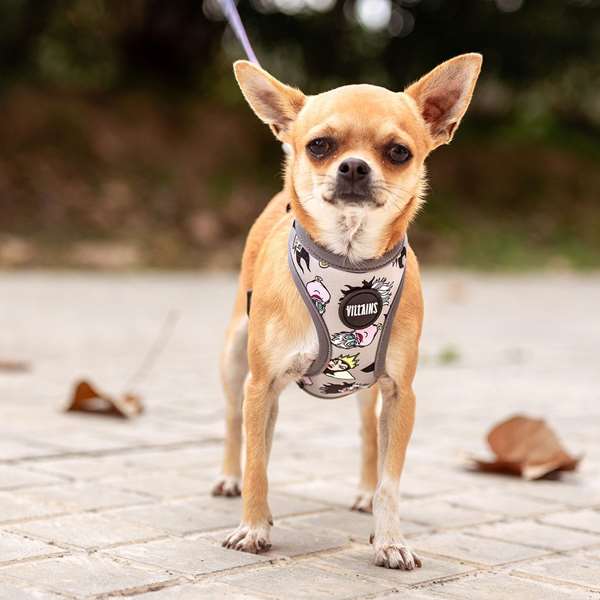 Cerdá T4M:M/L Harnais pour chien Disney méchantes (villanas), taille M/L, couleur gris